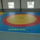 Professional factory for tumbling kongfu mat mat proper