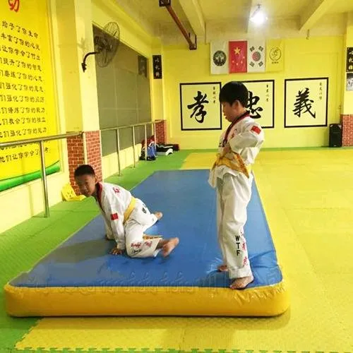 children taekwondo mat.webp